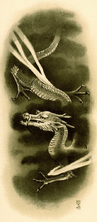 dragonja.jpg