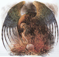 phoenix.gif